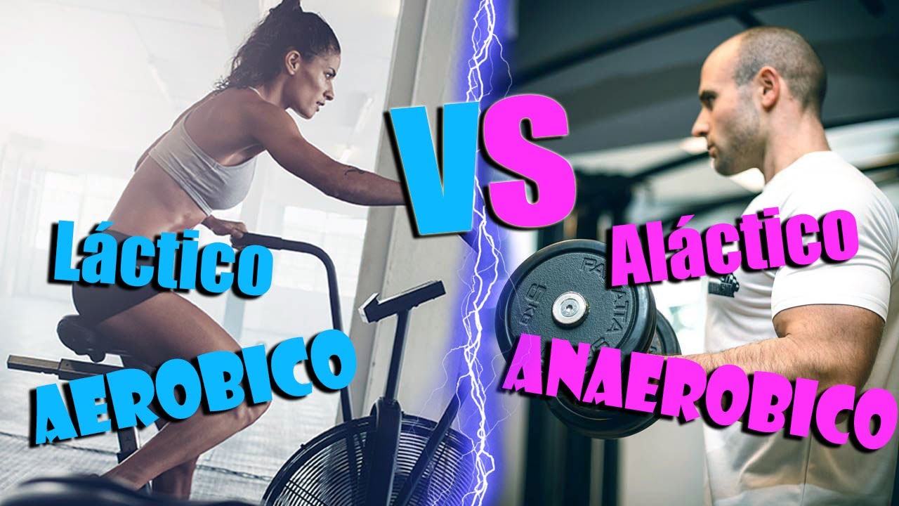 VÍAS ENERGÉTICAS ¿Aeróbico/Anaeróbico? - EXPLICACIÓN FÁCIL Y ACTUALIZADA | HIGHFITNESS