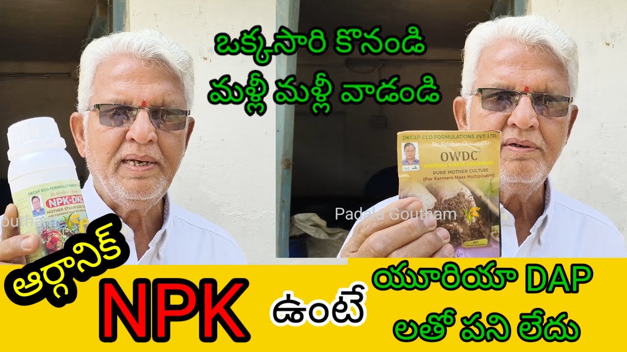 Organic NPK రైతులకు వరం (ఈ ఎరువు రైతే ఇంటివద్ద మళ్ళీ మళ్ళీ ఎన్నిసార్లైనా తయారు చేసుకోవచ్చు) #DrDKC