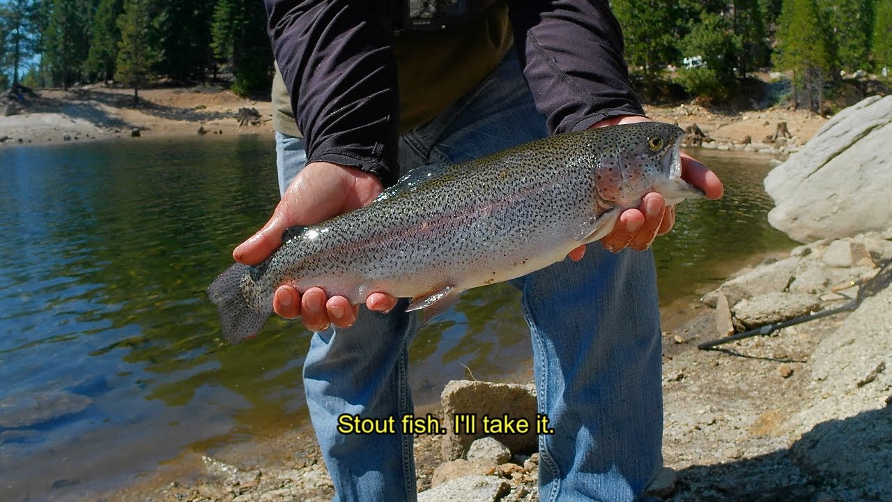 Powerbait Wait and Bait Fall Trout Fishing Part 2 (Ice House Reservoir)