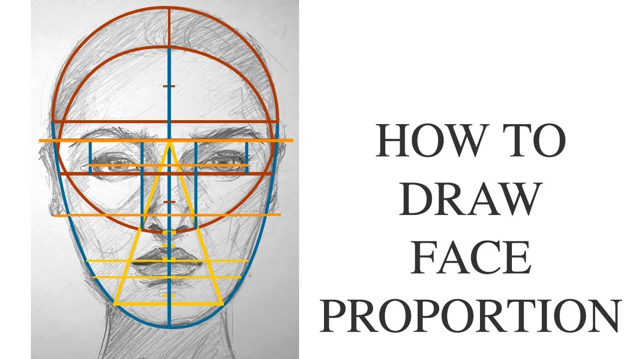 Drawing Girl’s Face step by step guide to Head Proportion for beginners