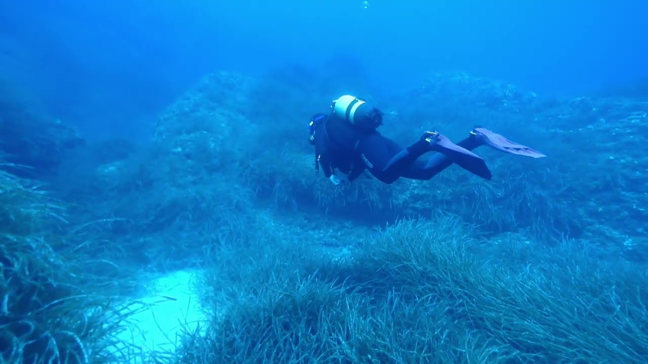 Scuba Diving in the Mediterranean Sea in Santa Eulalia, Ibiza. Aqua Diving Center.