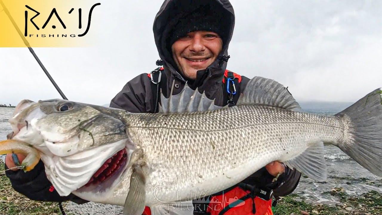 SPINNING για ΛΑΒΡΑΚΙΑ με ΣΙΛΙΚΟΝΕΣ  [Weedless Fishing #Vol10-RAIS Fishing full of Live Strikes]