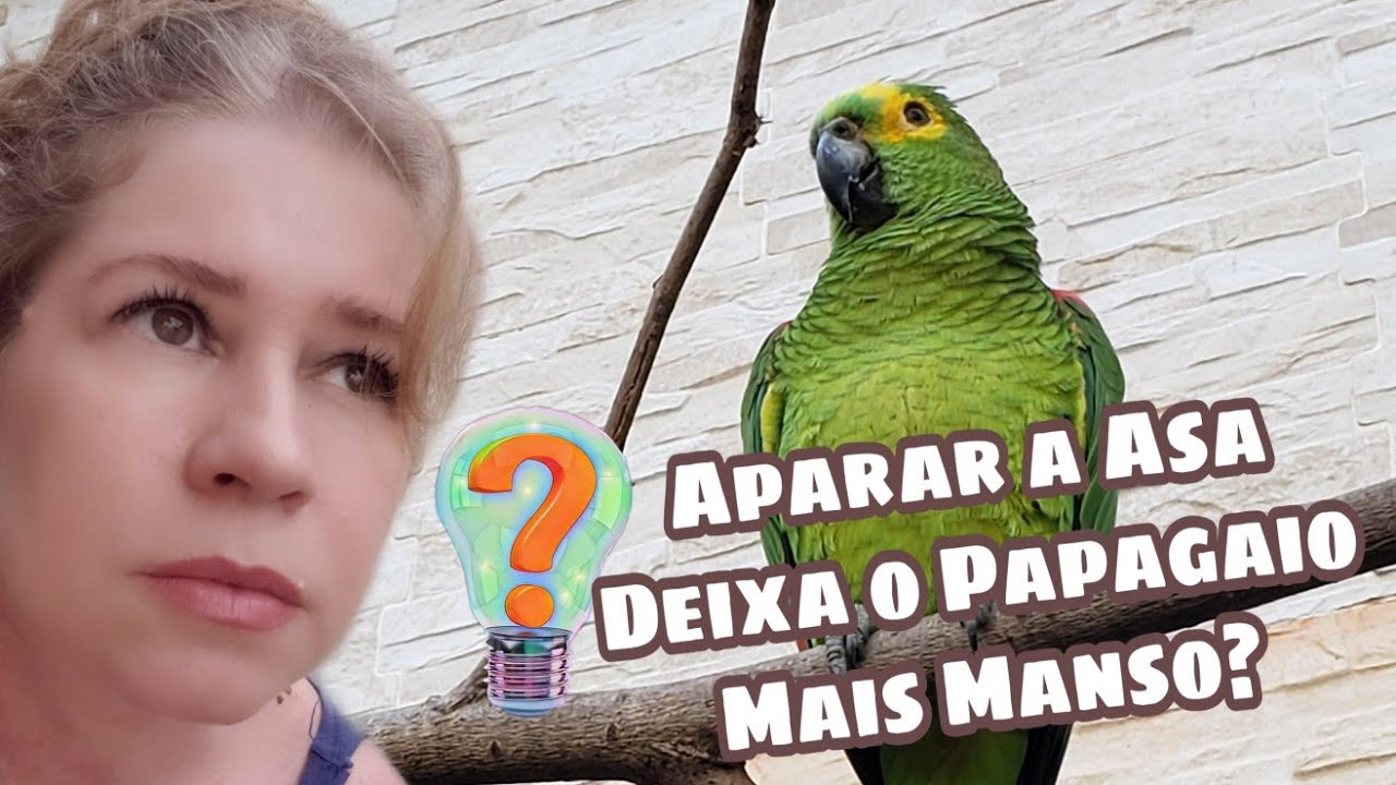 Aparar a Asa Deixa o Papagaio Mais Manso??