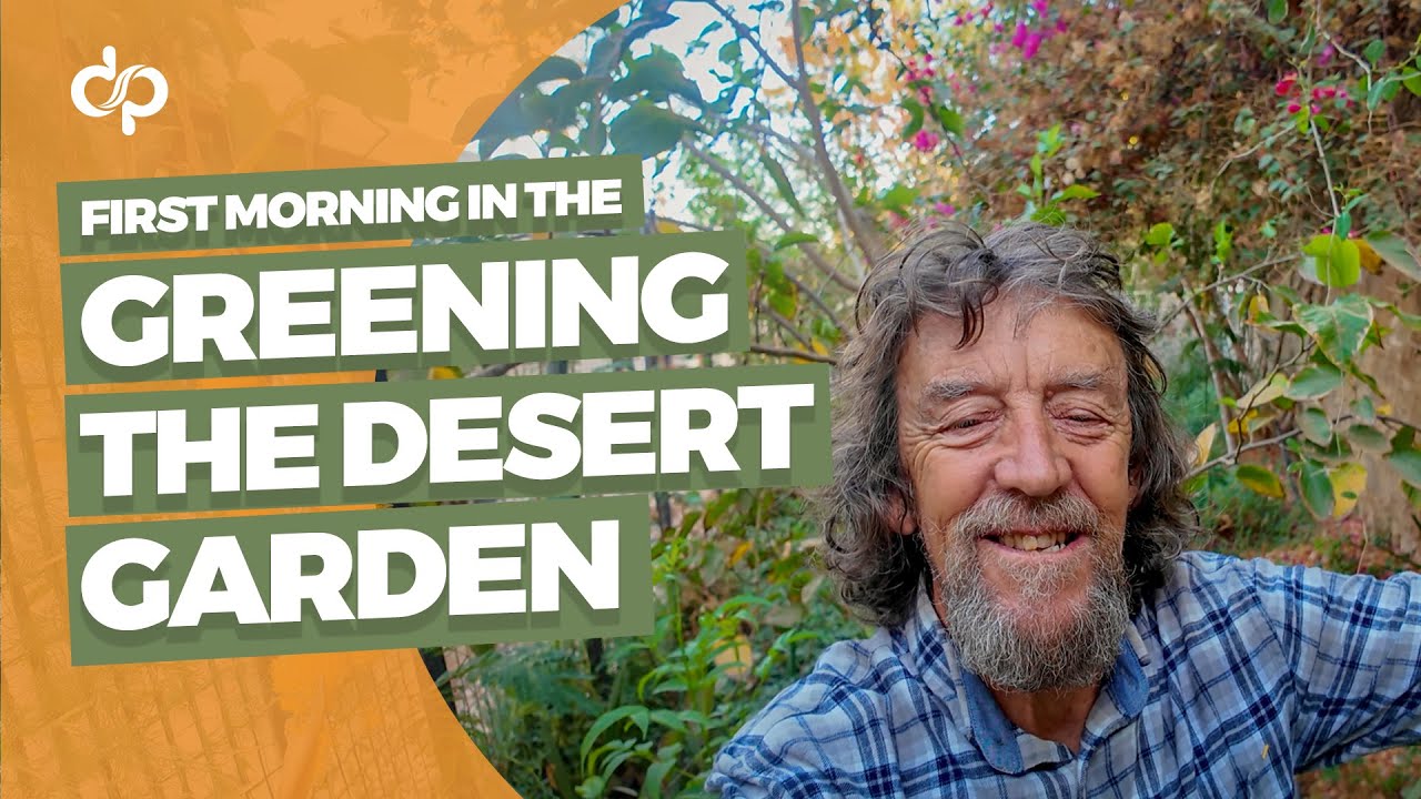 First Morning in the Greening the Desert Garden (2025 Update)
