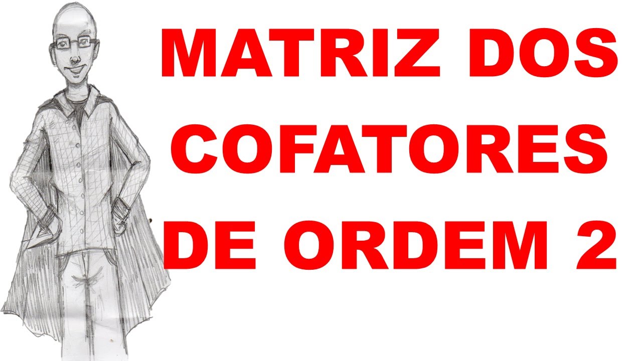 MATRIZES & DETERMINANTES - AULA 13 - MATRIZ DOS COFATORES DE ORDEM 2