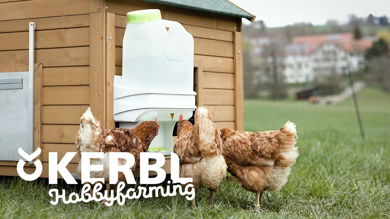 SmartCoop Gefl&uuml;geltr&auml;nke 🐔 von Kerbl Hobbyfarming