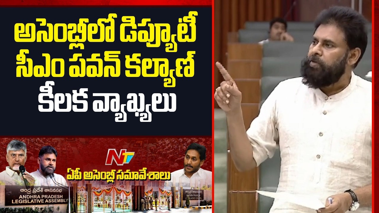 Dy CM Pawan Kalyan: వైసీపీ సభ్యులు 11 మంది ఉన్నా.. 1100 మంది ఉన్నట్లు మాట్లాడతారు | NTV Telugu