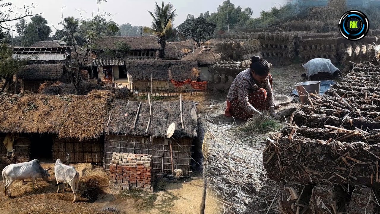 Tharu Village Tharu Lifestyle in Nepal थारुको जीवन शैली
