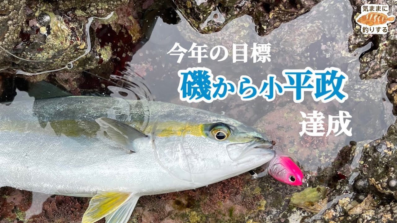 ヒラマサ釣れちゃった【ロックショア】