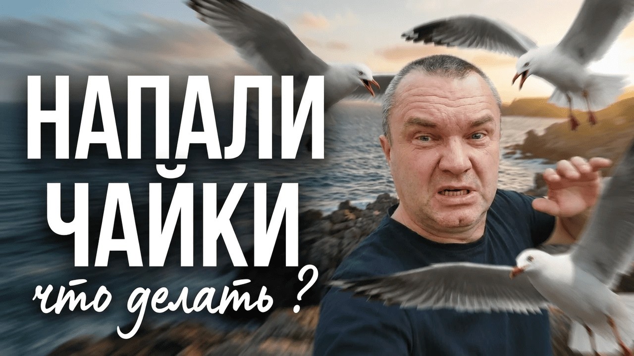 Одесса/Начинаем жить с нуля/Птерадактели