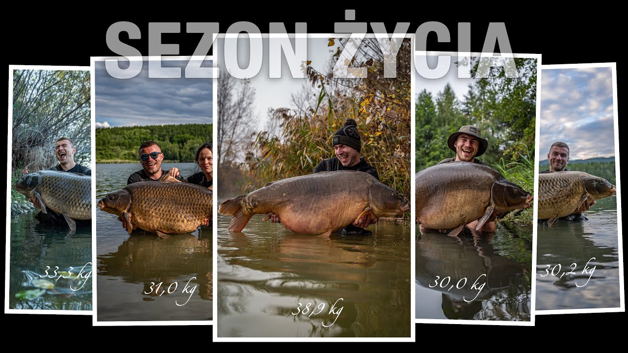 SEZON ŻYCIA !!! 5 KARPI POWYŻEJ 30 KG !!! JAK DO TEGO DOSZŁO !!!