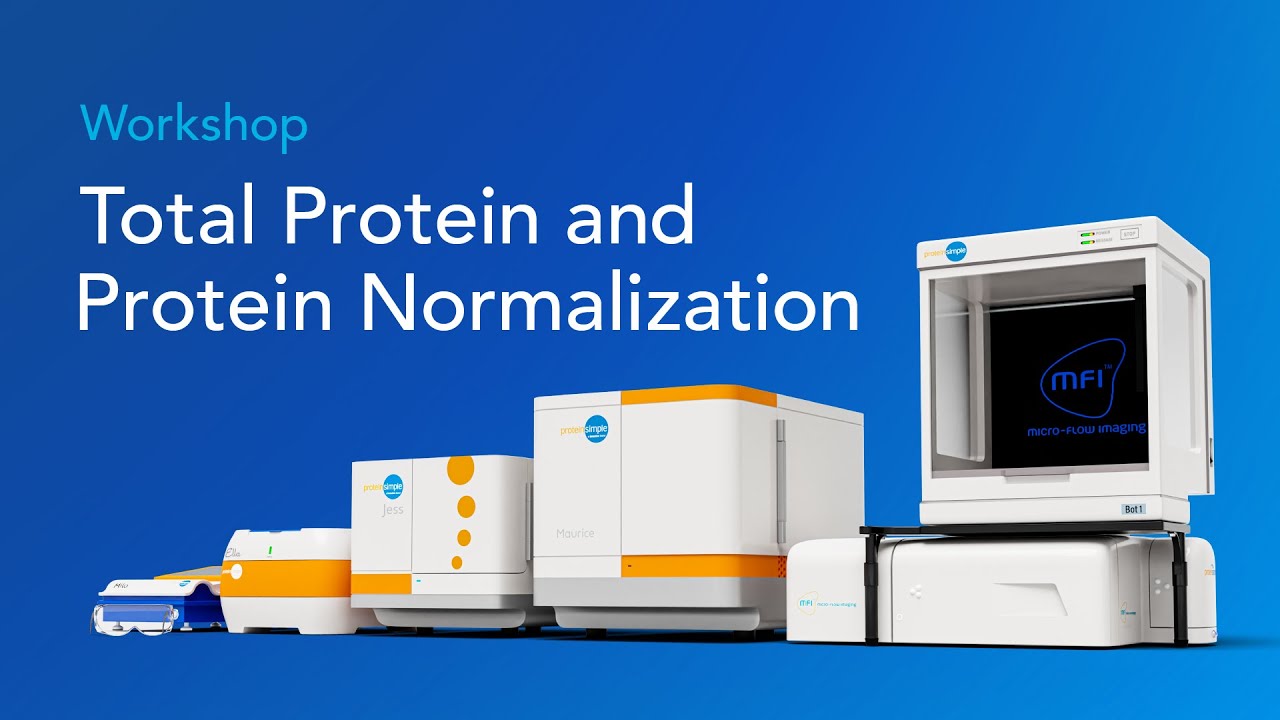 Workshop: Total Protein and Protein Normalization