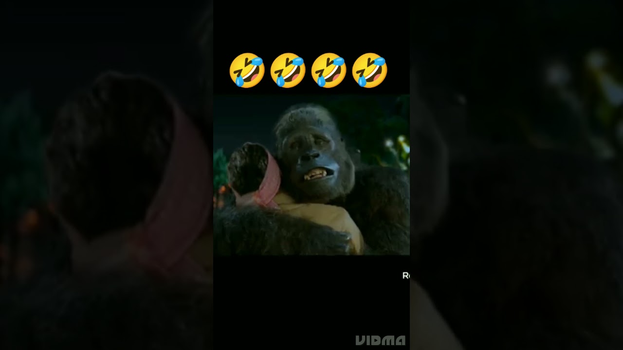 total dhamaal comedy