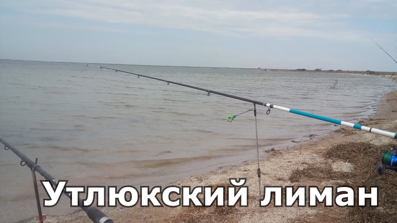 Открытие сезона ловли пеленгаса. Утлюкский лиман 11.04.2021. Golden Catch Amulet