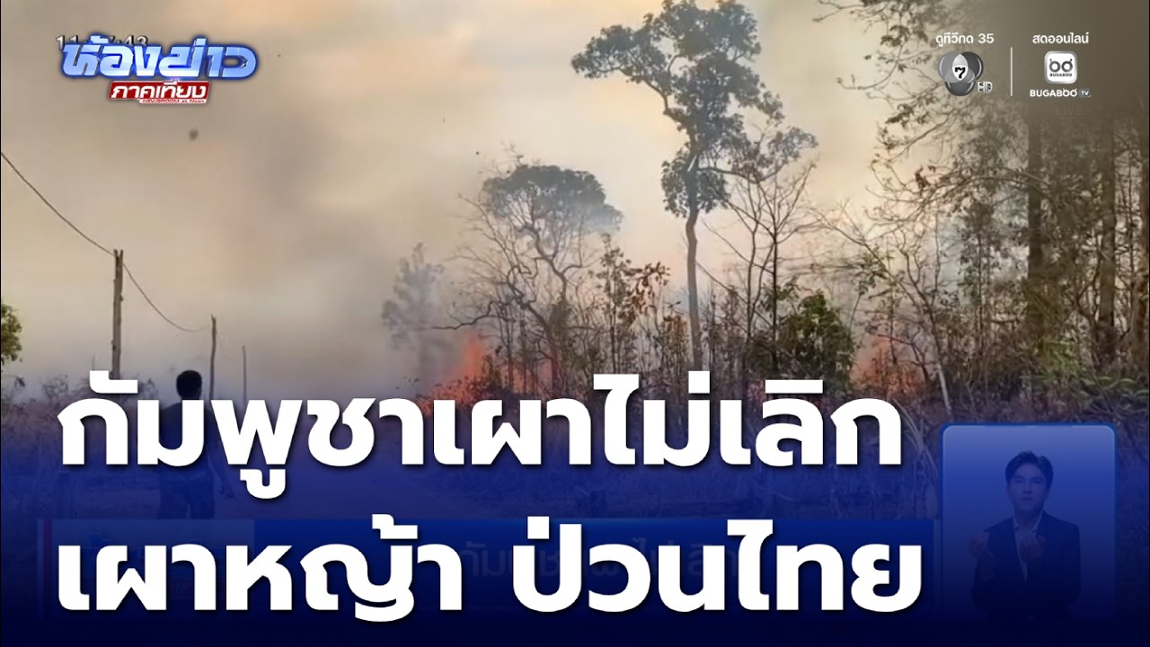 กัมพูชาเผาไม่เลิก ตั้งใจจุดไฟเผาป่า เผาหญ้า ป่วนไทย | ห้องข่าวภาคเที่ยง