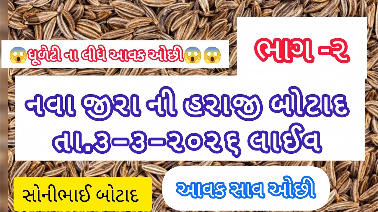 😱🔵😱🔵જીરા ની હરાજી બોટાદ યાર્ડ ભાગ 2#sonibhaibotad #બોટાદ #botad #જીરુંનોભાવ #apmc #કિસાન 