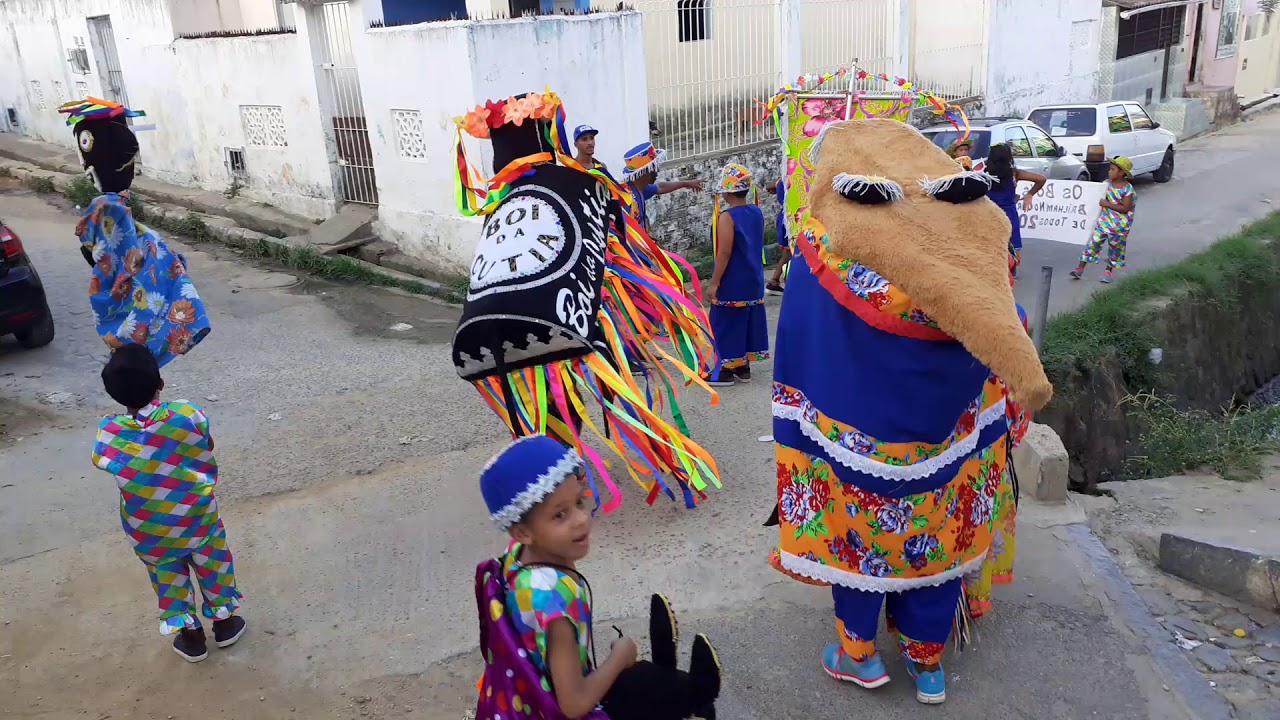 Boi da Cutia, Em Cortejo no Bairro de Água Fria 2020.