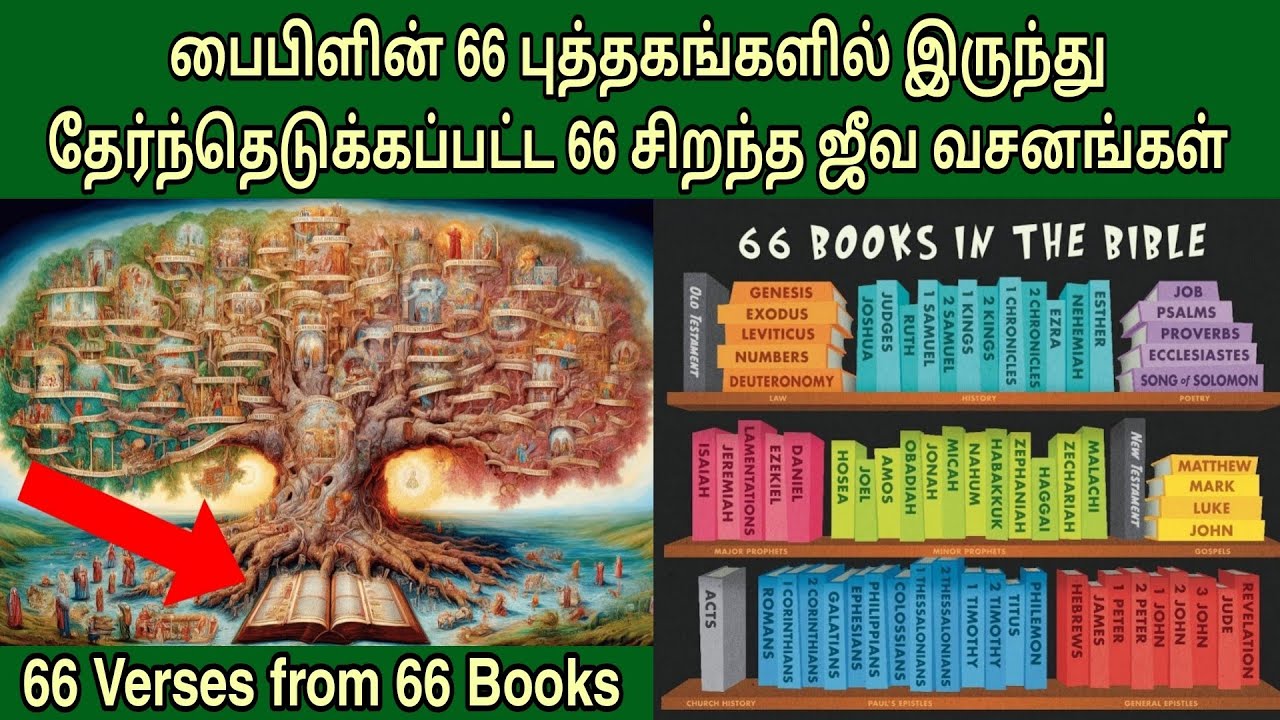 பைபிளின் 66 புஸ்தகத்தில்‌ சிறந்த 66 வசனங்கள் | Best verses from the bible | bible study