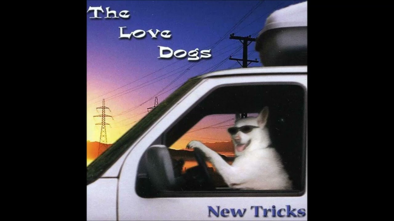 The Love Dogs - Why Did You Lie