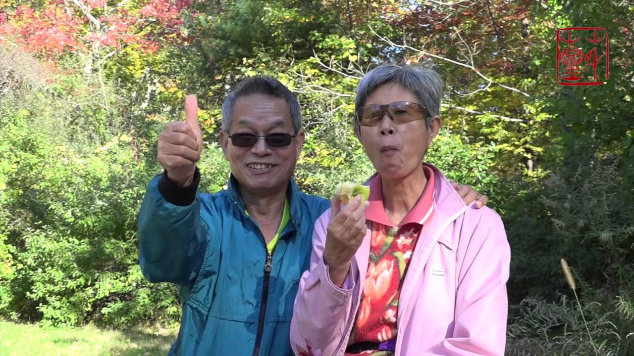 MapleTrip CT