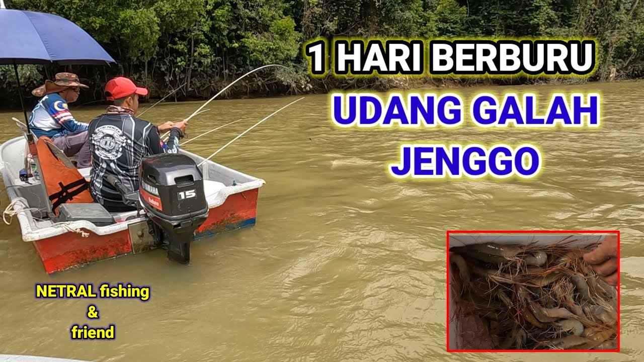 SUNGAI KOLIN 1 HARI BERBURU UDANG GALAH || Mancing udang galah malaysia-Nf.#16