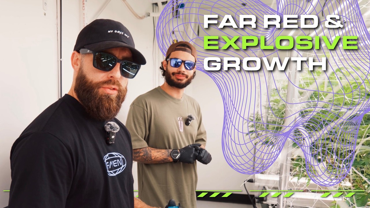 Взрывной рост с помощью Far Red - GRW EP004