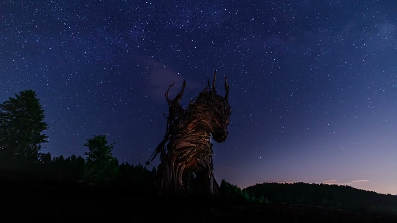 ''My moment into nature 2023'' -  TIMELAPSE 4k #timelapse #lrtimelapse
