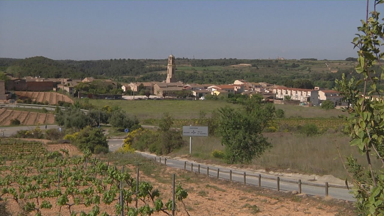 Promouen visites tur&iacute;stiques per con&egrave;ixer els productes ecol&ograve;gics de l'Alt Camp
