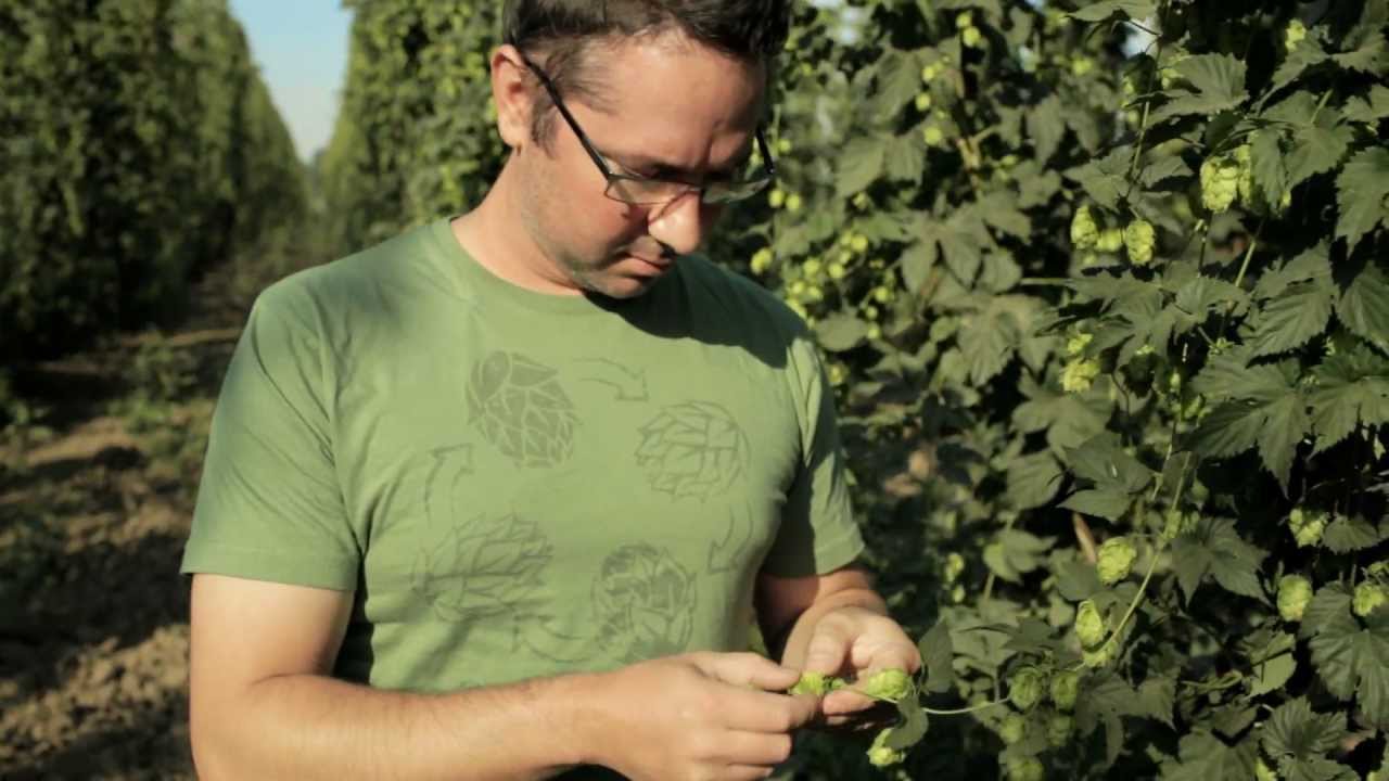 Northwest Hop Bounty (TV)