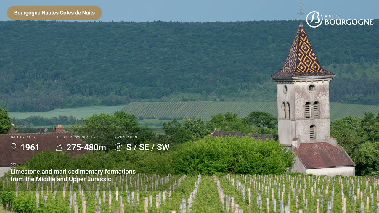 Geographical denomination: The first step towards the notion of terroir – Focus Bourgogne