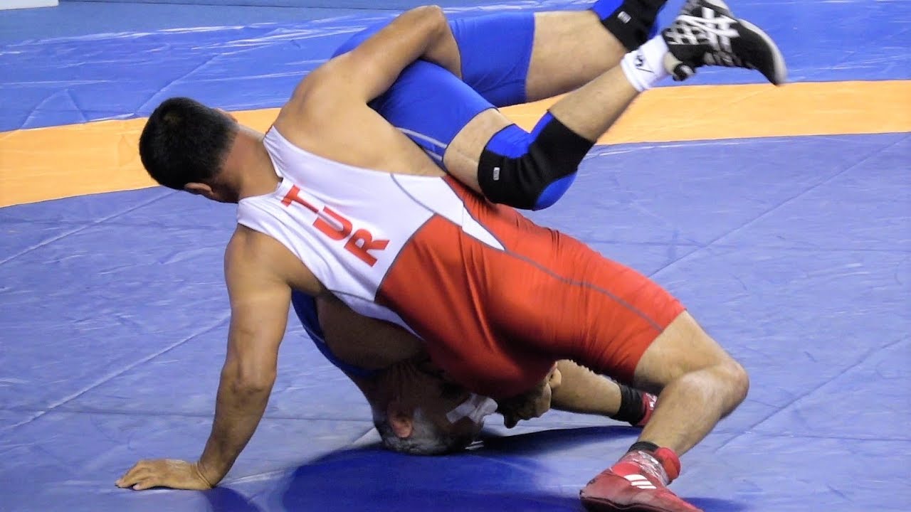 Freestyle Wrestling Veterans - Turkey vs France