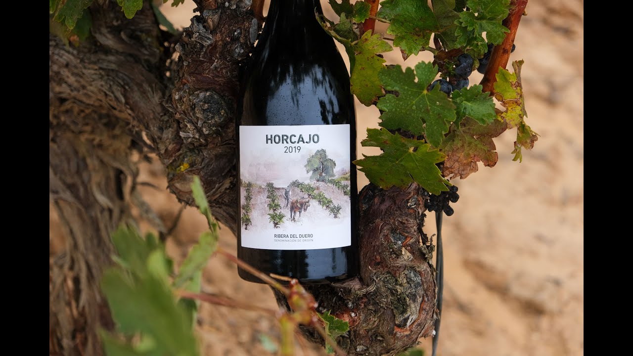 VIDEOCATA HORCAJO 2019
