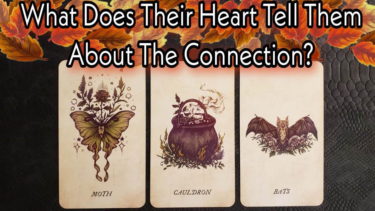 🥀 What Does Their Heart Tell Them About The Connection? Pick A Card Their Deepest Feelings Revealed!