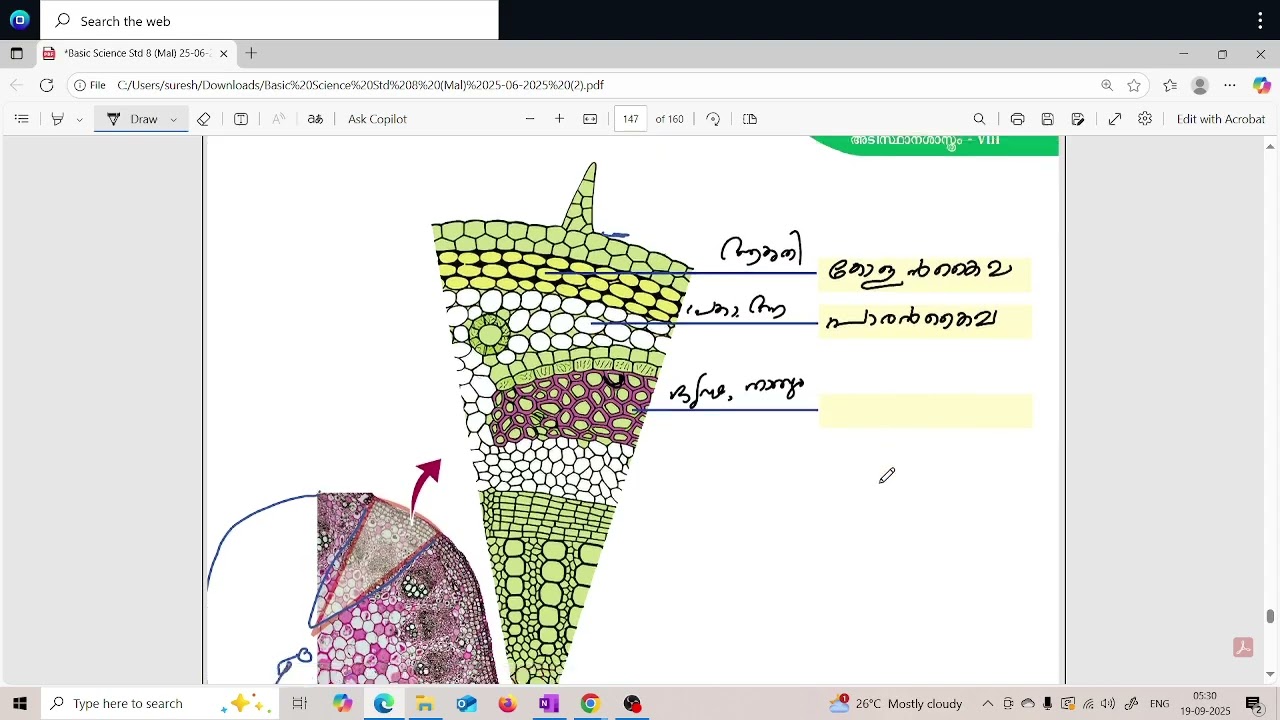 SCERT CLASS 8#chapter9 #biology # CELL AND CELL CLUSERS#കോശവും കോശജാലവും KERALA PSC#biology#PART4