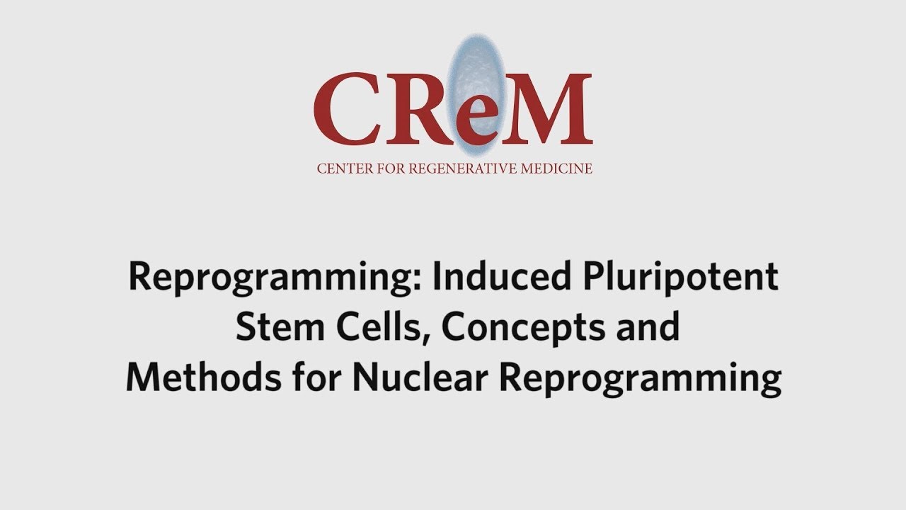 Reprogramming: Induced Pluripotent Stem Cells, Concepts, and Methods for Nuclear Reprogramming