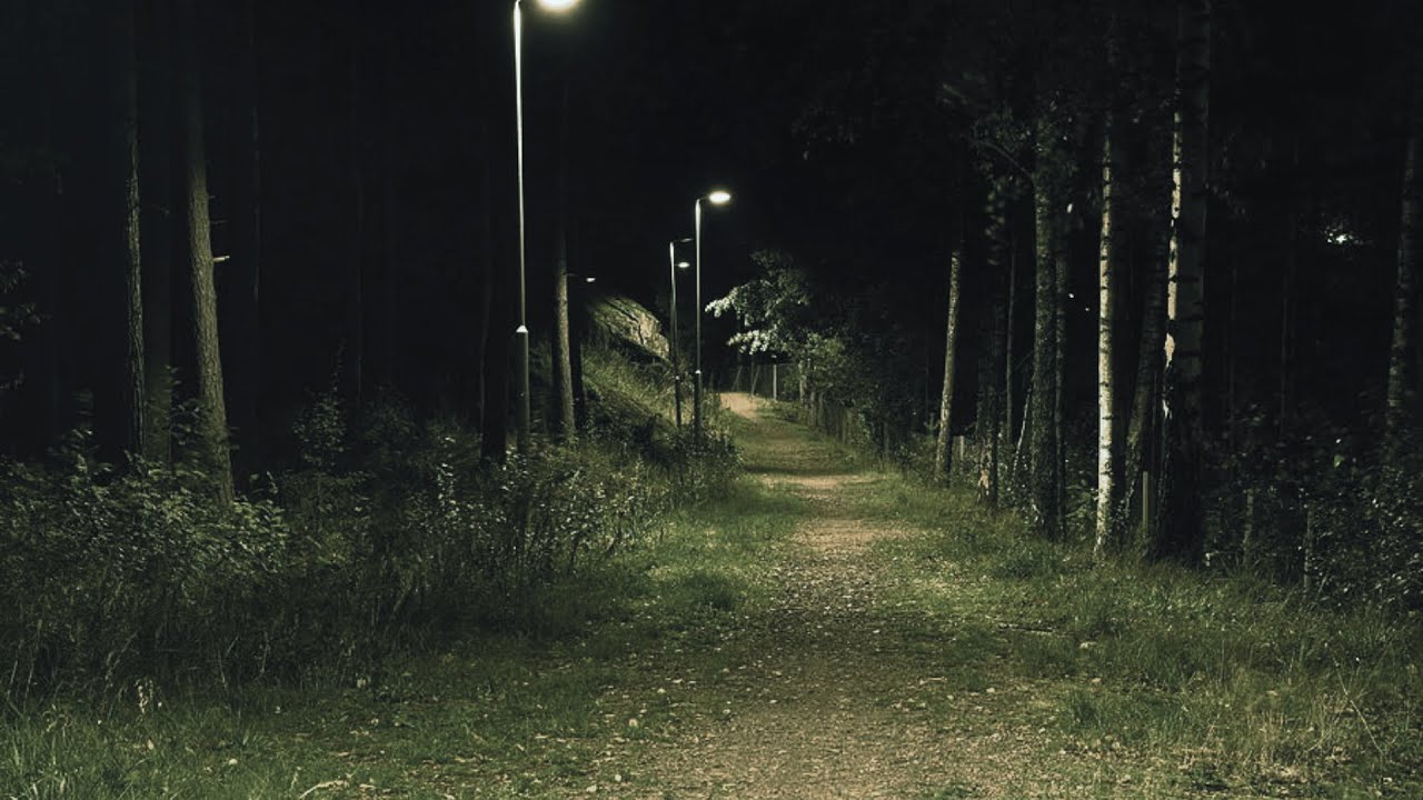 daniel.mp3 - 3 am walk (Slowed + Reverb)