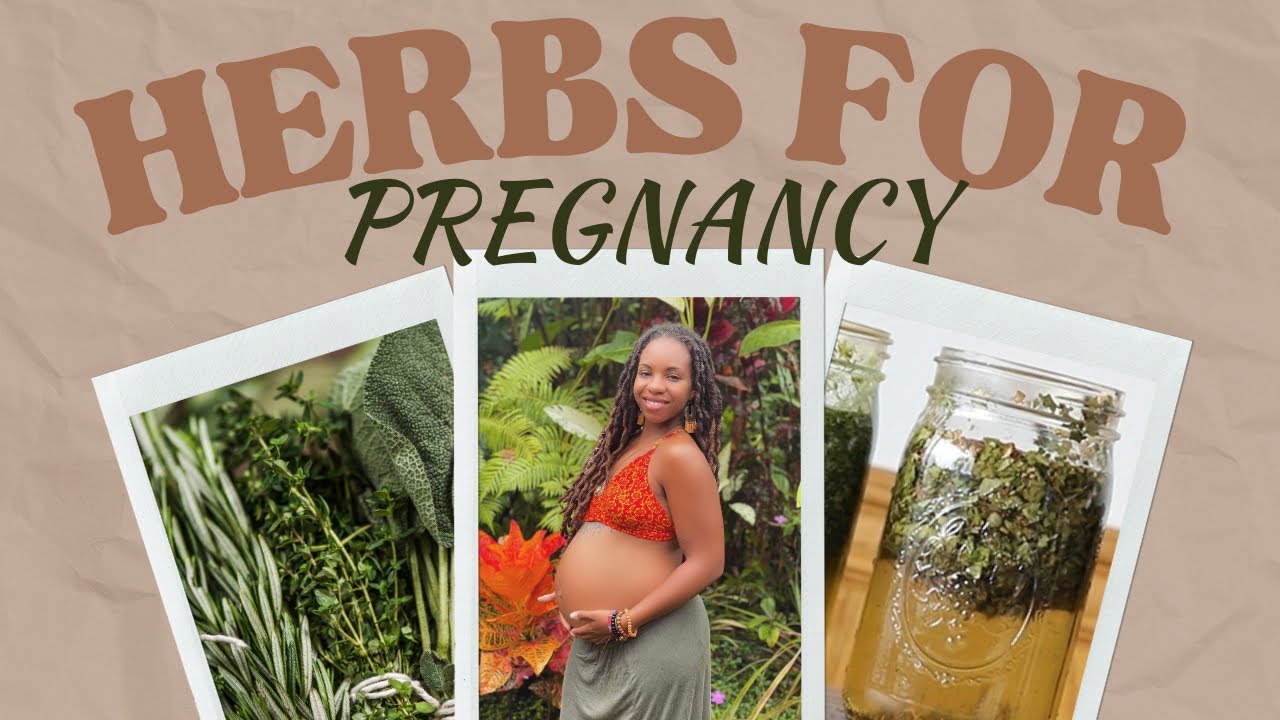 Herbs For A Healthy Pregnancy | Getting and staying pregnant !