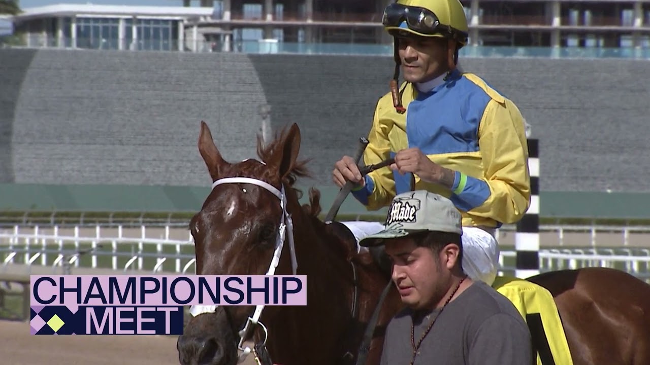 Повтор трансляции из Gulfstream Park | 29 января 2026 г.