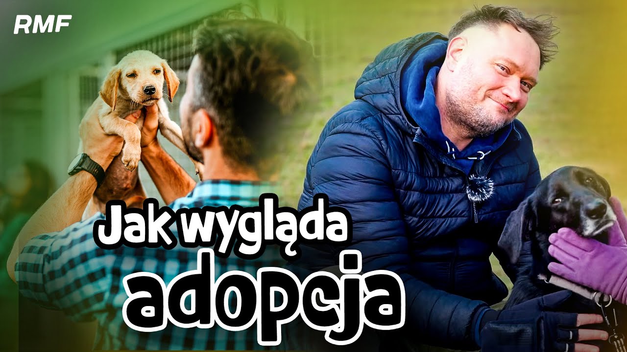 Adoptujesz psa? Tego nikt Ci nie powie!