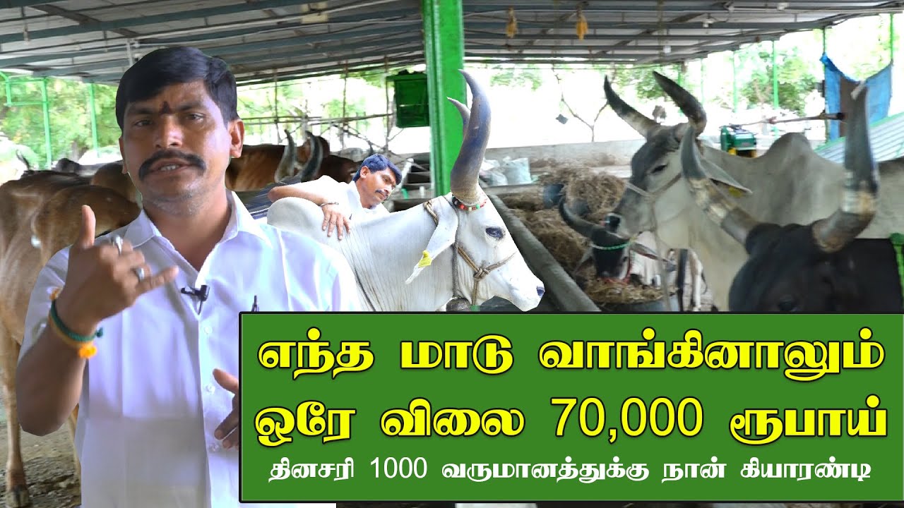 அப்பாவின் இழப்பால் உருவான கோசாலை | நாட்டு மாடு வளர்ப்பில் பெரும் புரட்சி | Uzhavar Koottam