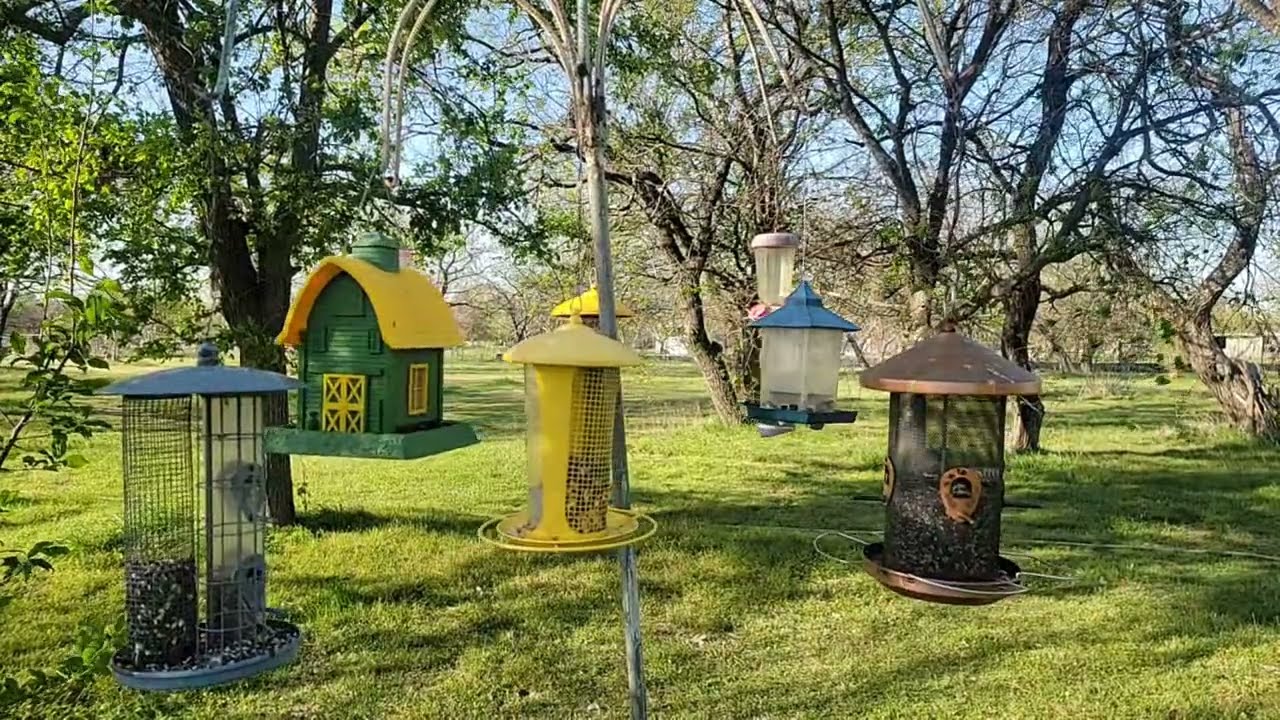 Good morning. @ Wide Open Transit Farm