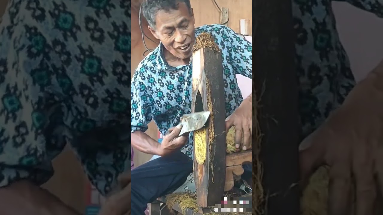 Proses membuat cerutu secara Manual #tembakau #tembakaumole #unik