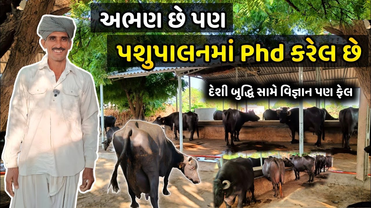 💰 2 પાડી અને 1 ભેંસથી શરૂઆત, આજે બનાવ્યુ મોટું રજવાડું🏆 How He Turned Milk Into Millions.