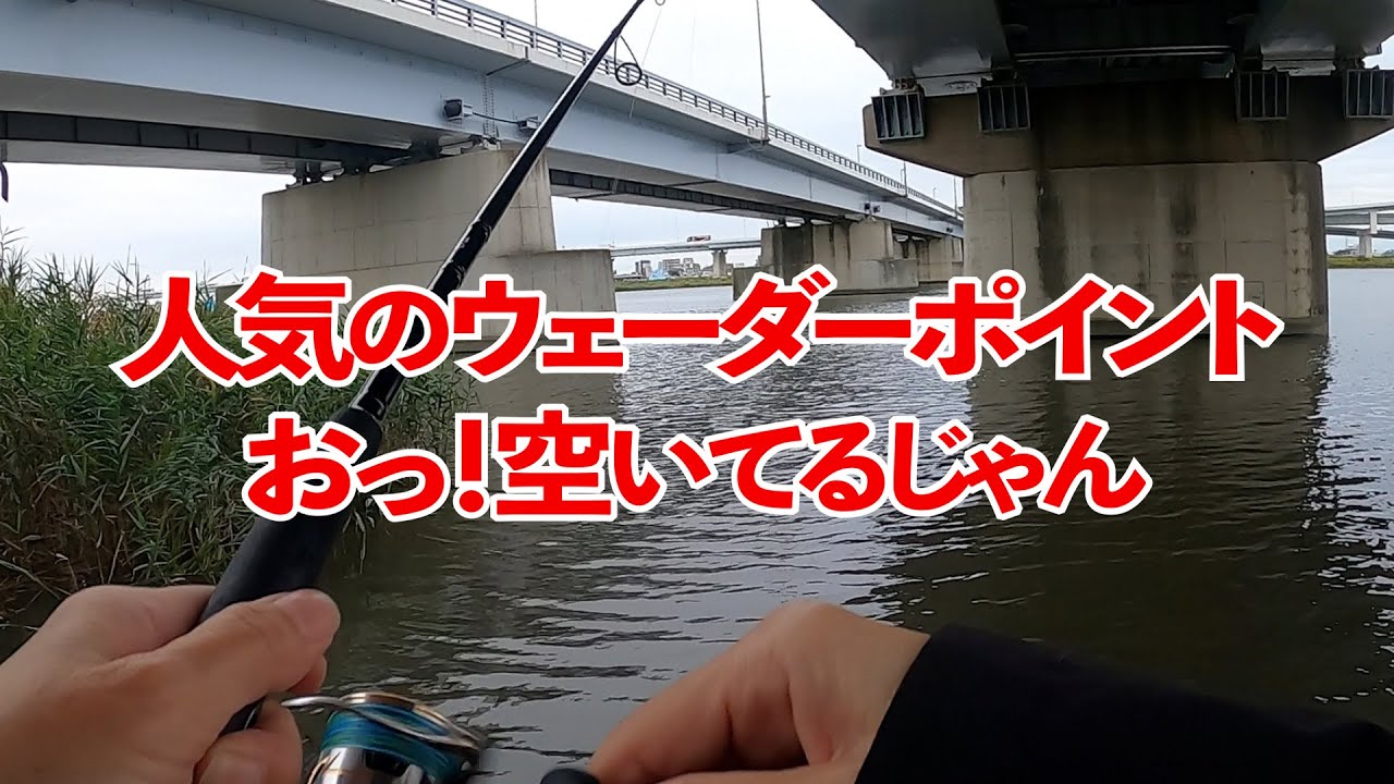 【釣り】シーバス狙いでベイトが集まるポイントと人気のウェーダーポイントで釣りしてきた結果