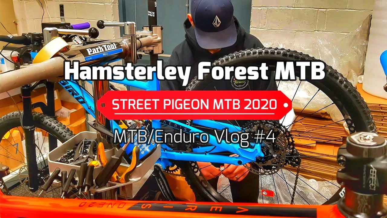 Hamsterley Forest MTB | Hamsterley MTB Trails