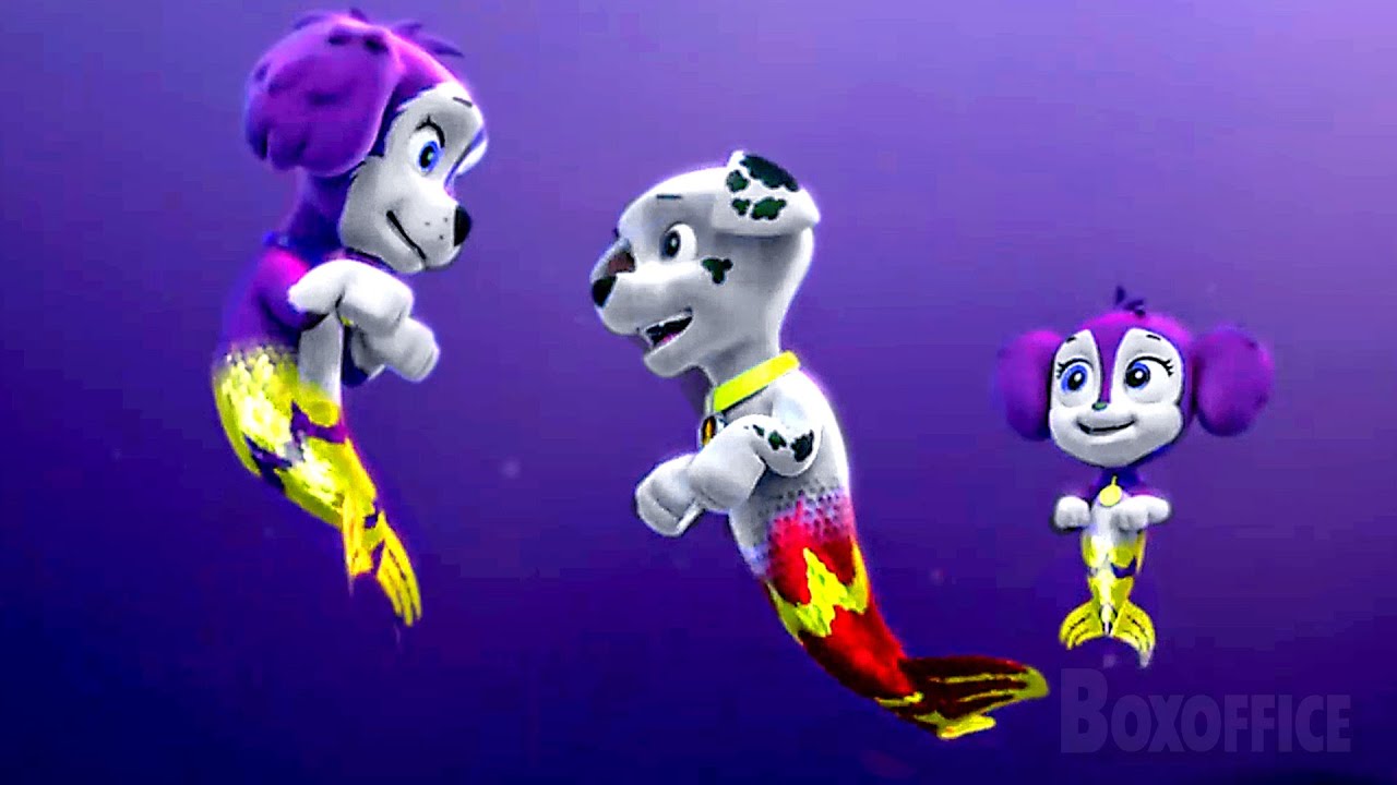The PAW Patrol helps Mermaids! | PAW Patrol Series | CLIP