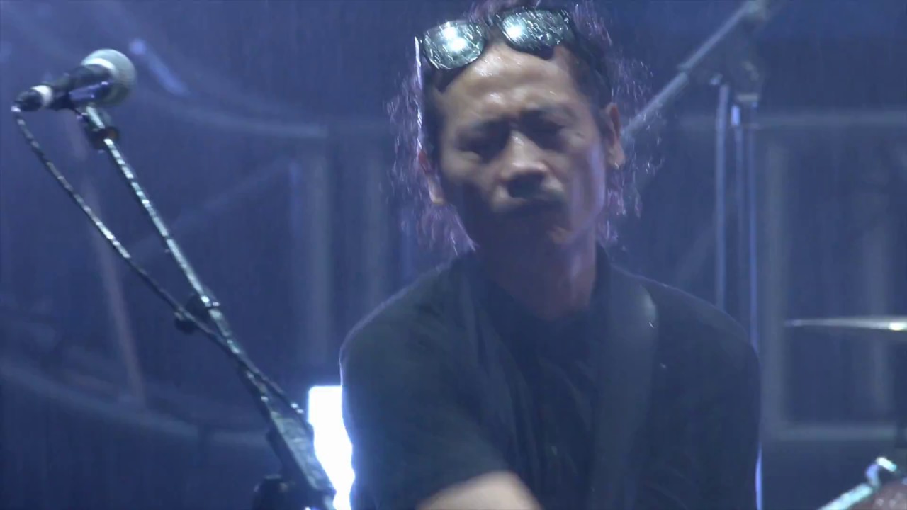 WHAI 【Animal + Nirvana】@MIDI Electronic Music Festival 2017