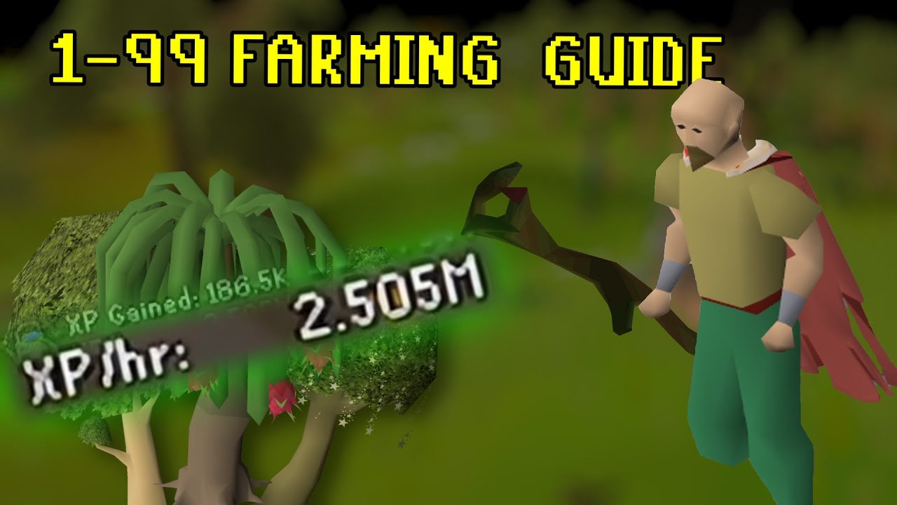 FULL Tree Run Guide