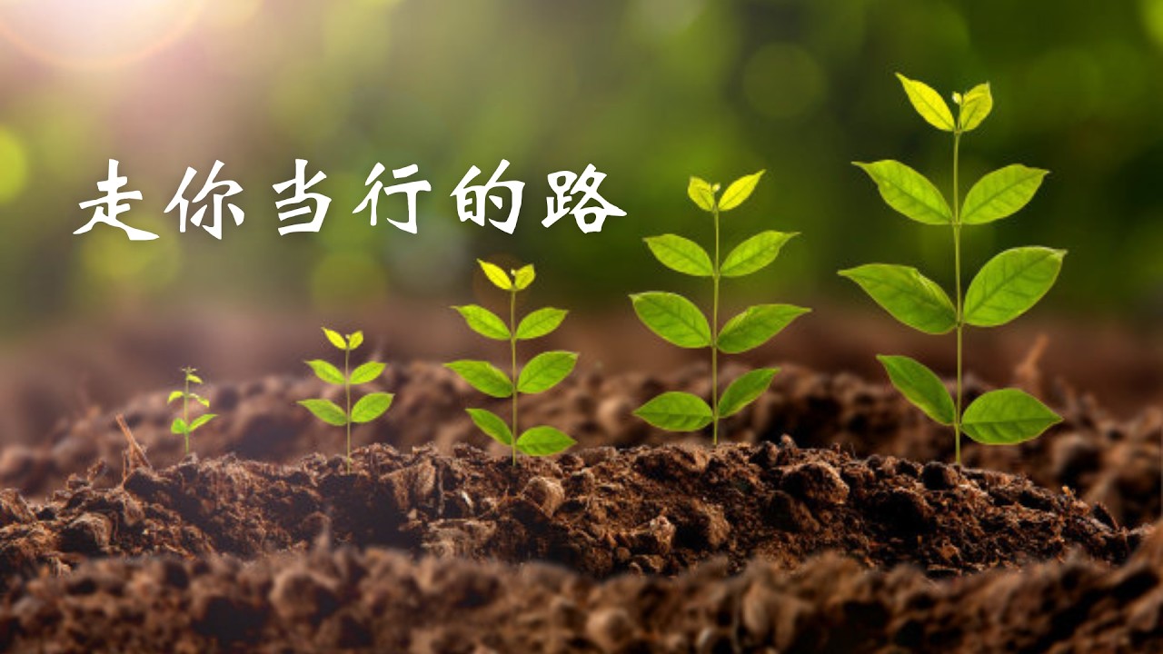 2022.5.15 慕斯分享《走你当行的路》