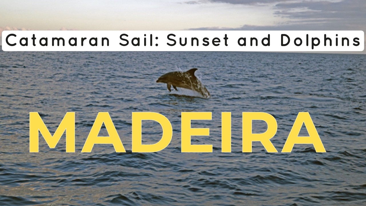 Madeira - Catamaran Sail: Sunset and Dolphins